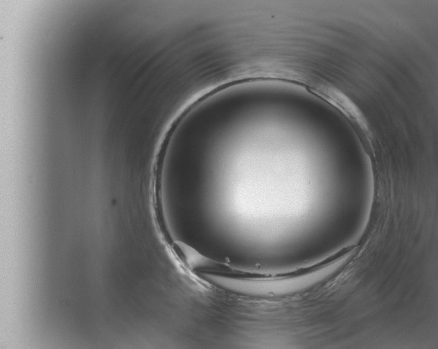 X0000072941144200607282156