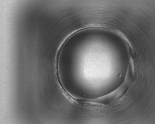 X0000072941148200607282157