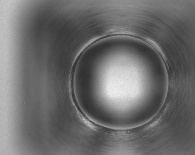 X0000072941149200607282157