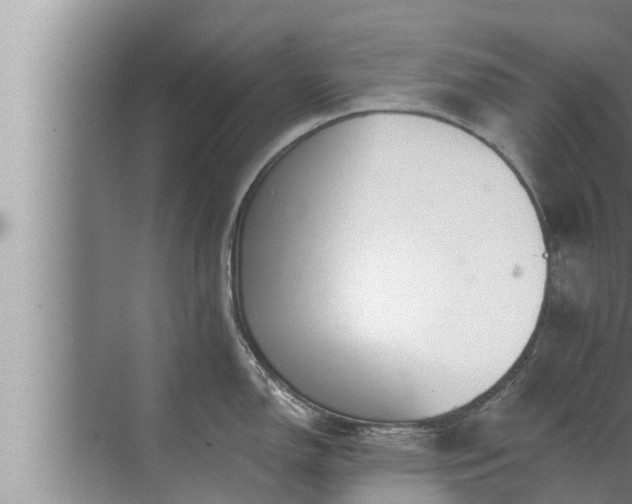 X0000072941150200607282157