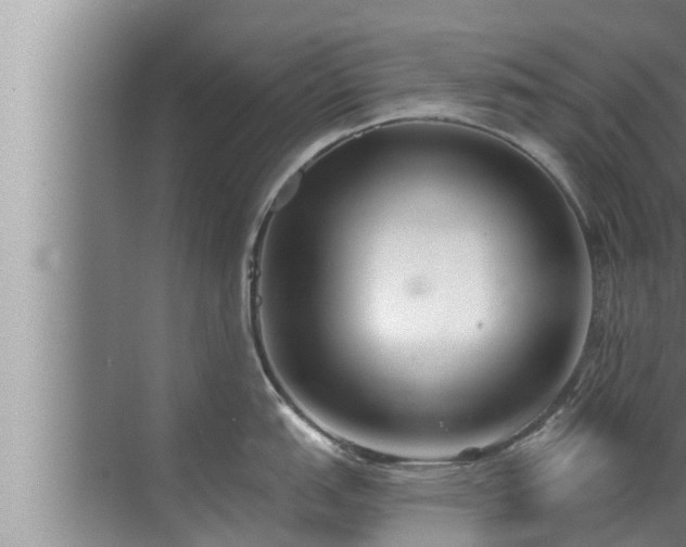 X0000072941151200607282157