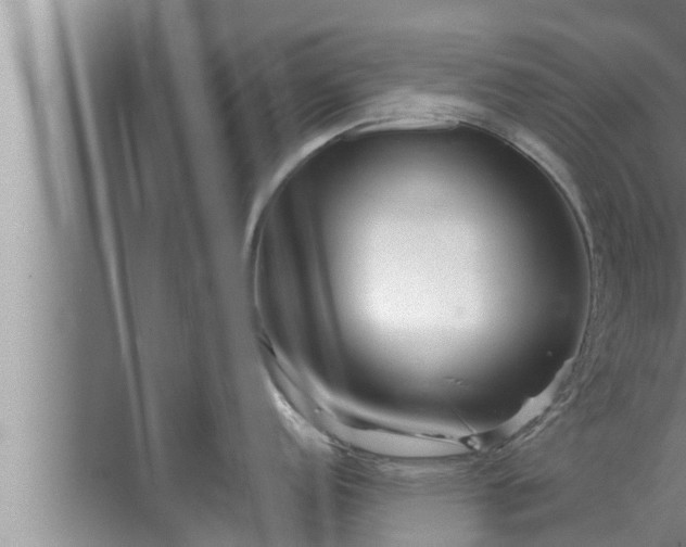 X0000072941152200607282157