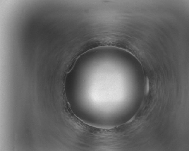 X0000072941153200607282156