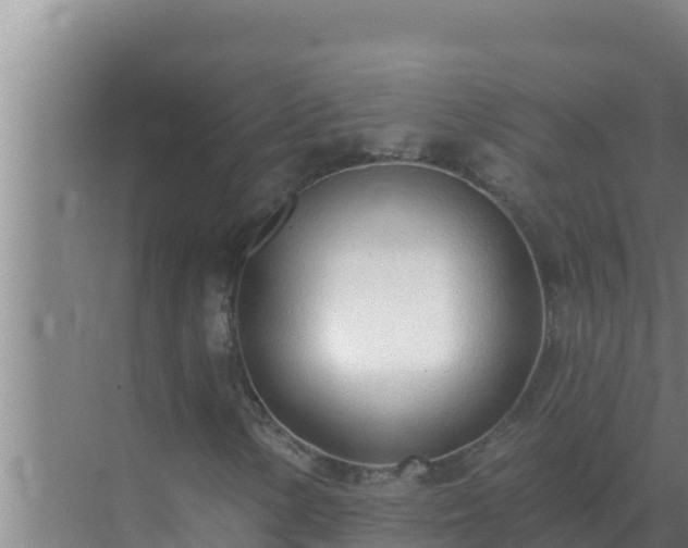 X0000072941154200607282156