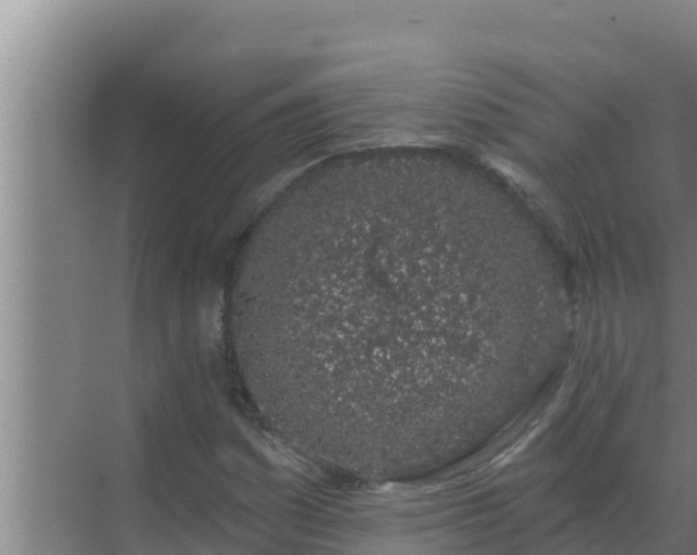 X0000072941161200607282156