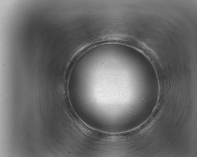 X0000072941166200607282156