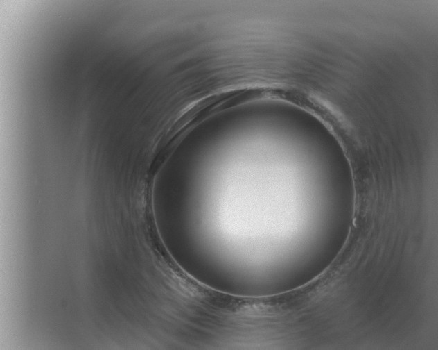 X0000072941169200607282156