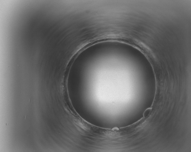 X0000072941170200607282156