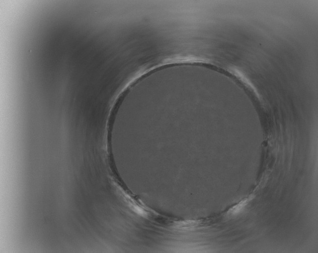 X0000072941173200607282155