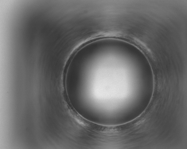 X0000072941174200607282155