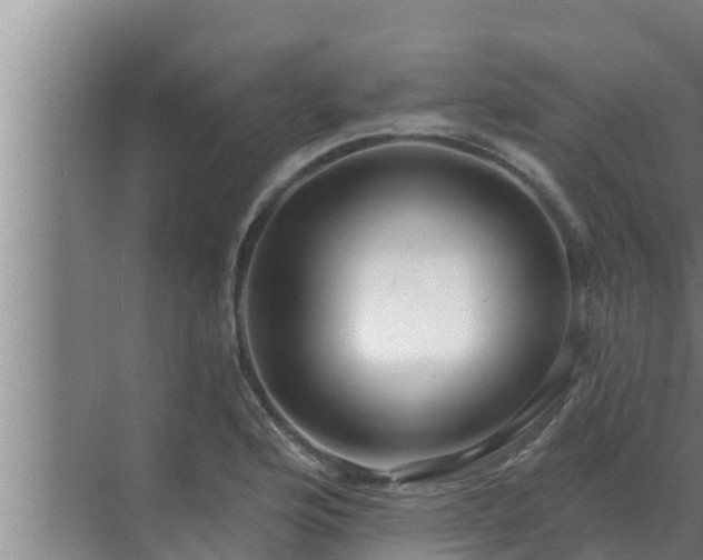 X0000072941176200607282155