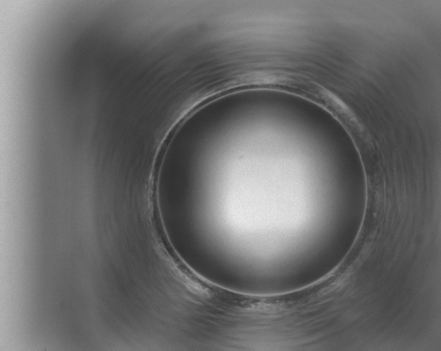 X0000072941178200607282155