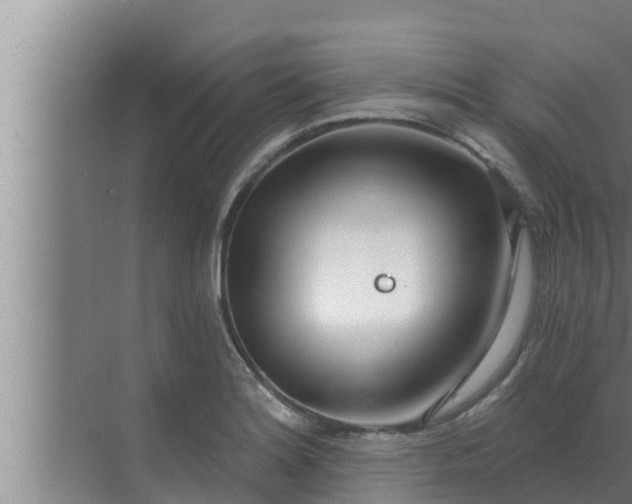 X0000072941180200607282155