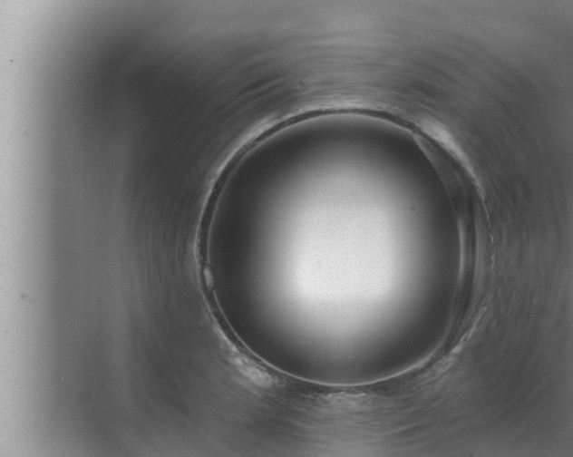 X0000072941181200607282155