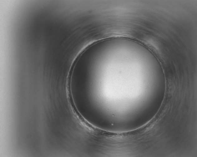 X0000072941182200607282155