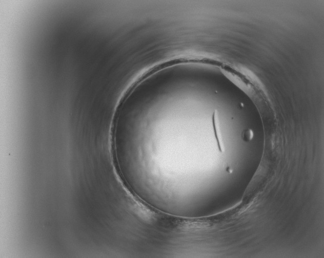 X0000072941183200607282155