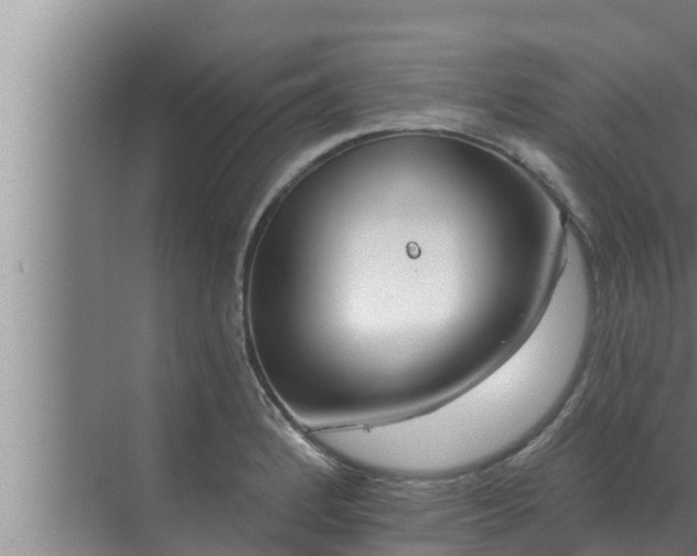 X0000072941184200607282155