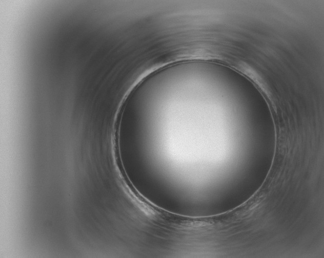 X0000072941187200607282155