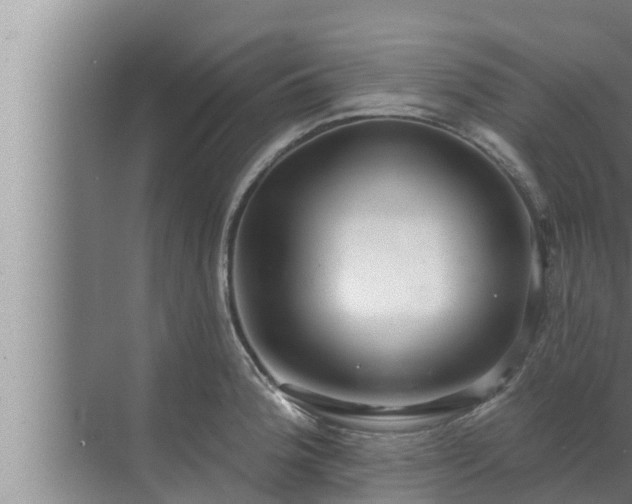 X0000072941188200607282155