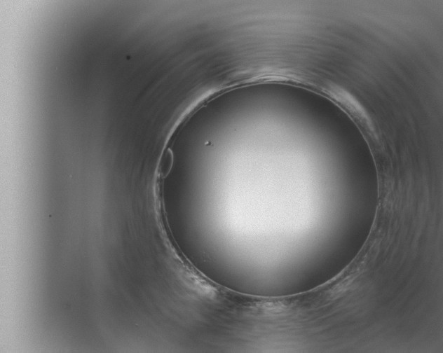 X0000072941190200607282155