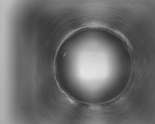 X0000072941191200607282155