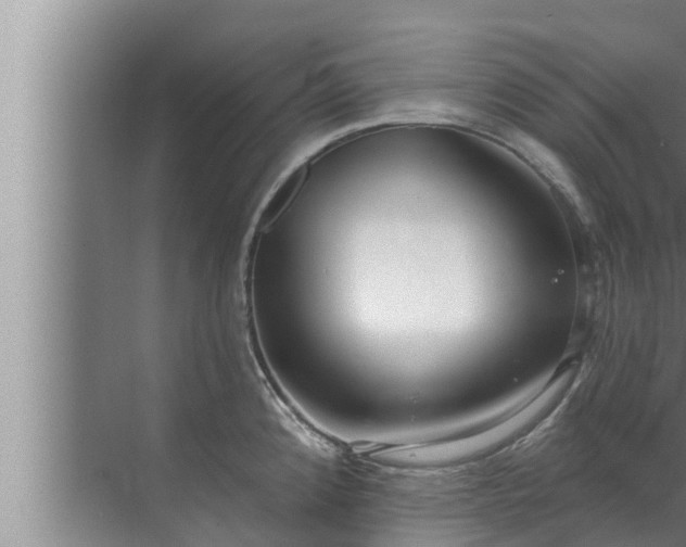 X0000072941192200607282155