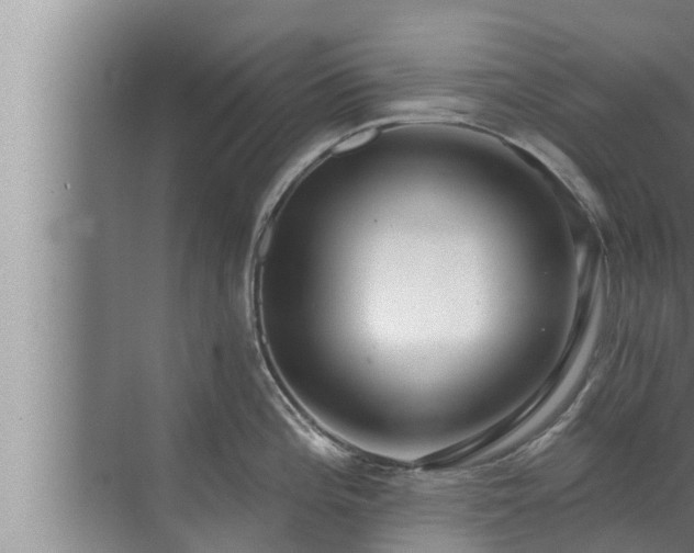 X0000072941196200607282155