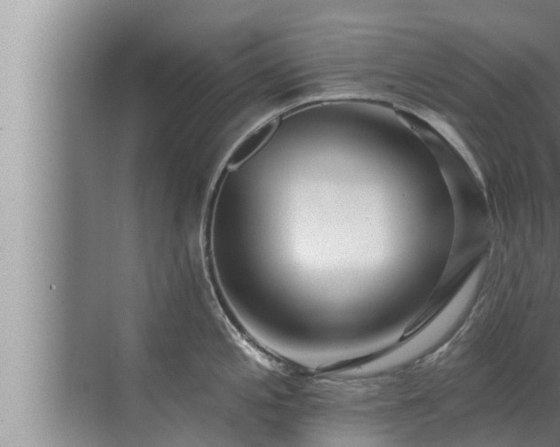 X0000072941197200607282155