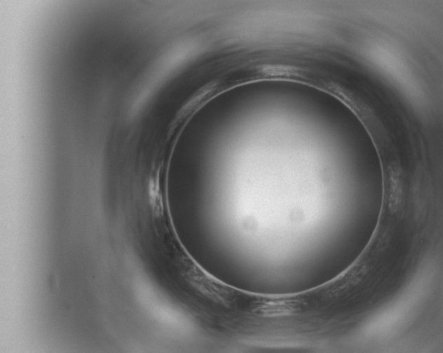 X0000072941198200607282155