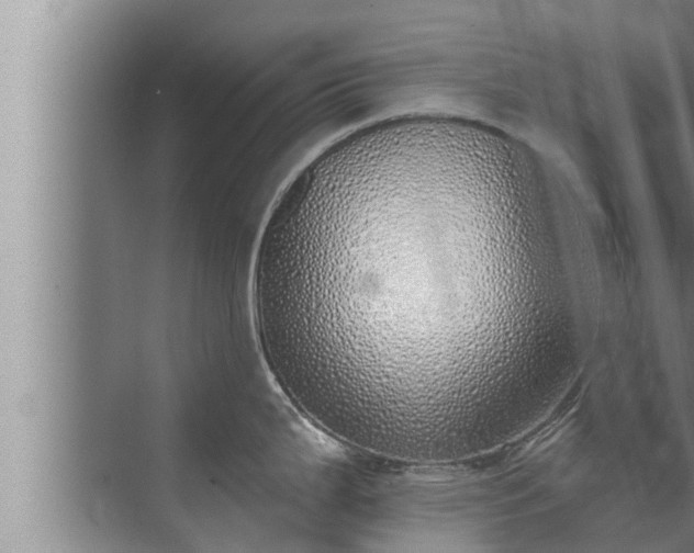 X0000072941199200607282155