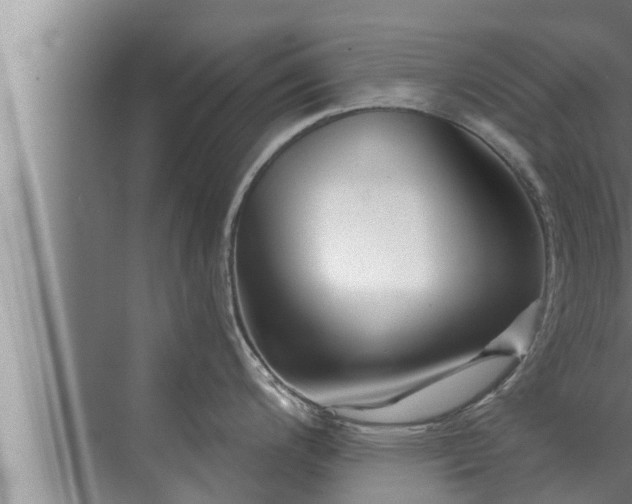 X0000072941200200607282155