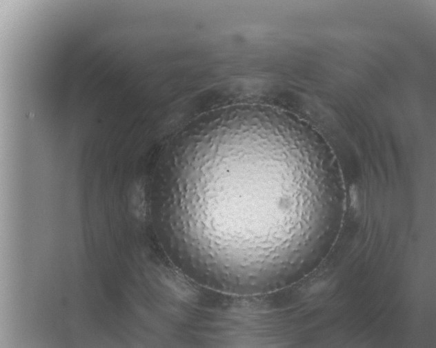 X0000072941203200607282154