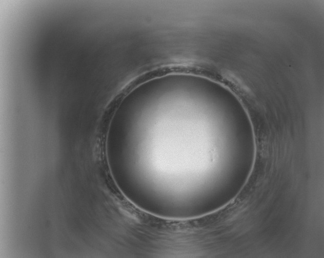 X0000072941208200607282154