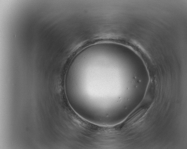 X0000072941213200607282154