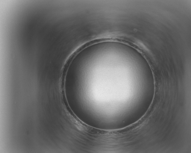 X0000072941216200607282154