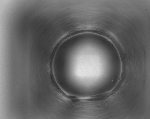 X0000072941218200607282154