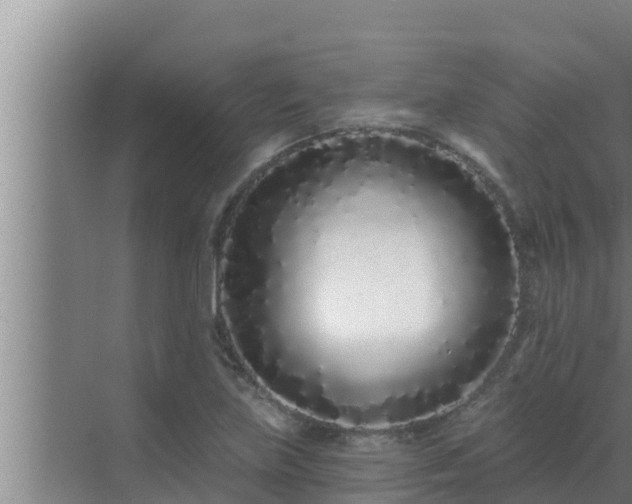 X0000072941219200607282155