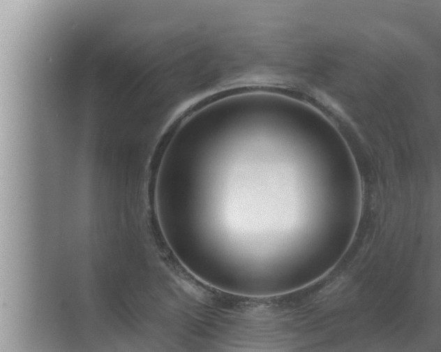 X0000072941222200607282155