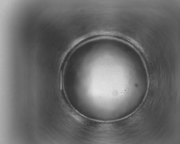 X0000072941223200607282155