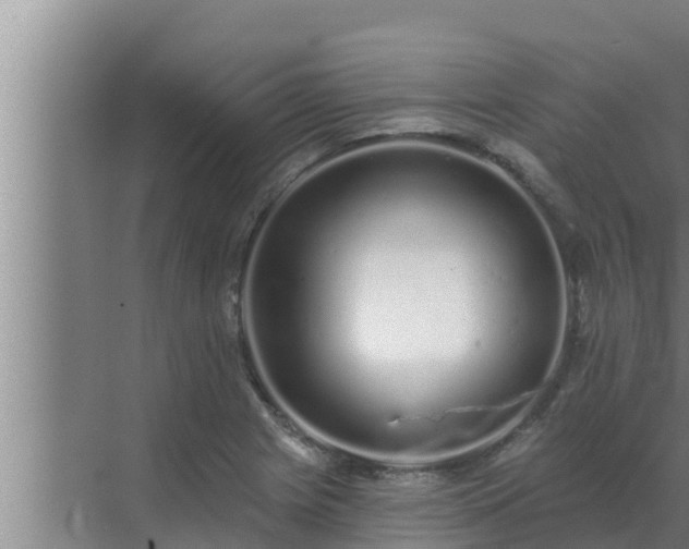 X0000072941225200607282155