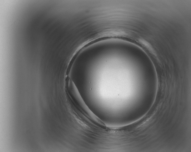 X0000072941226200607282155