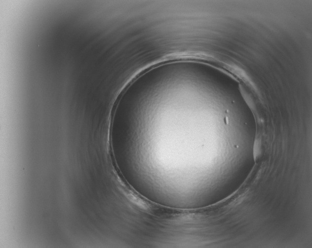 X0000072941228200607282155