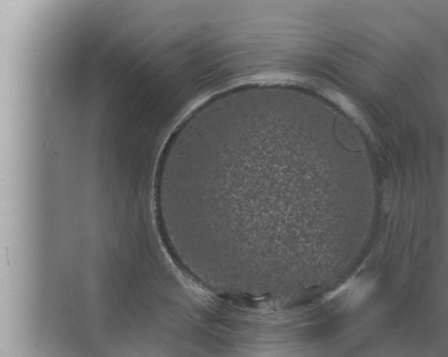 X0000072941229200607282155