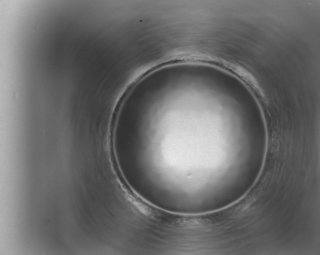 X0000072941231200607282155