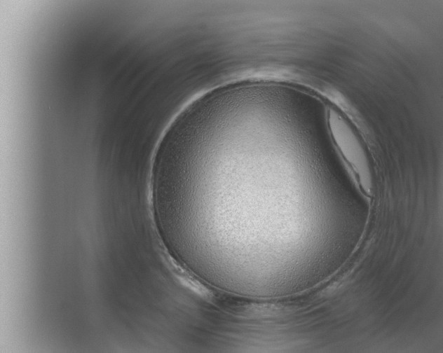 X0000072941232200607282155