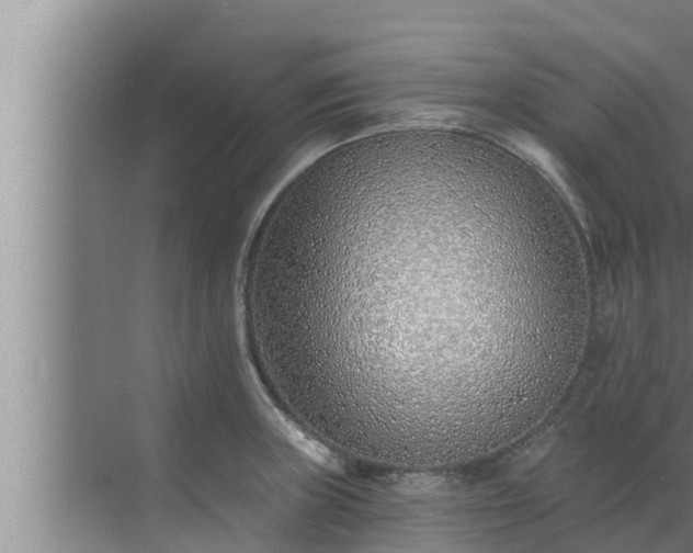 X0000072941235200607282155