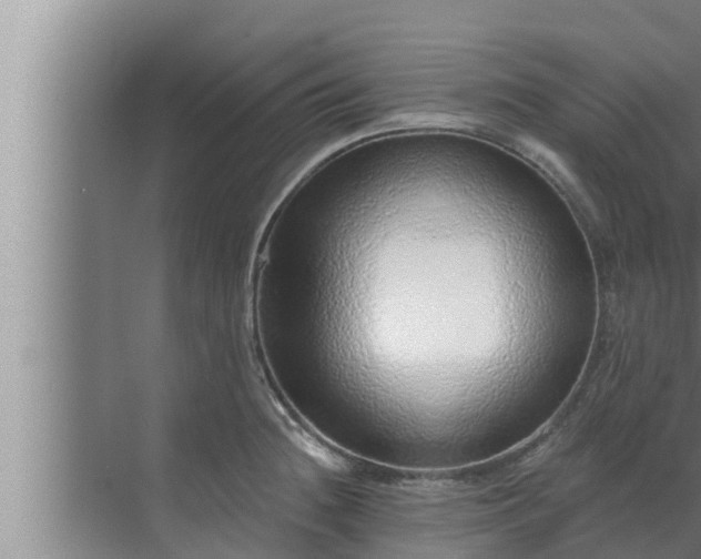 X0000072941236200607282155