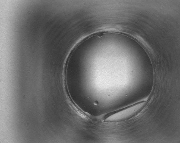 X0000072941240200607282155