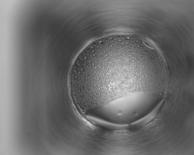 X0000072941243200607282155