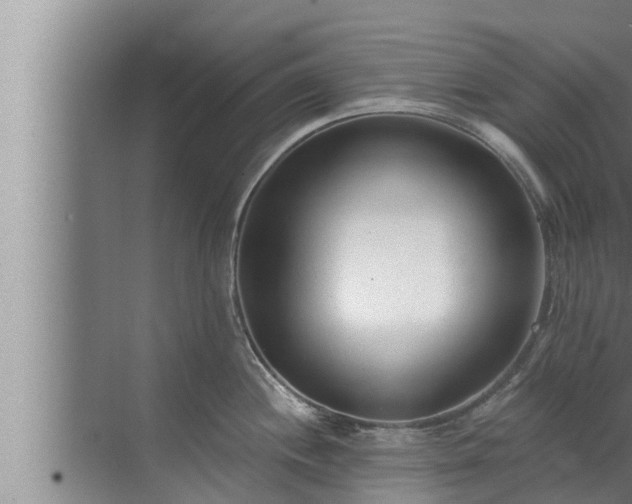 X0000072941244200607282155